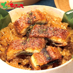  ÔHה(6H)2025 ~Mtg Ε Ε N N Mtg 蕨  j  Ԃ j v[g y Y EiM z^e tO  Zbg lߍ