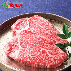 s ^ Yјa q(Vg[uA) Xe[Lp(v750g)2025 ~Mtg Ε Ε N N Mtg 蕨  j  Ԃ j v[g   јa