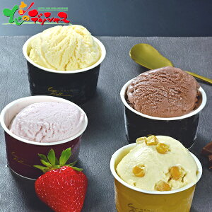 JEx FABULOUSACX 82025 Ε N Nz  NNn Mtg 蕨 j  Ԃ j j oYj  Cj v[g ACX ACXN[ 