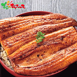 hVgp F{Y Ȃ̊ (2) 2025 Mtg 蕨  j  Ԃ j v[g  Ε Y CN Ȃ EiM V Ă Hו Zbg lߍ킹 ΂