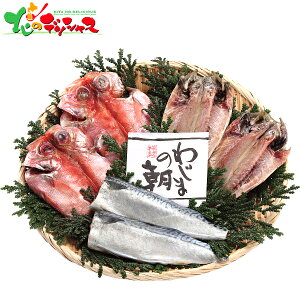 킶܂̒ Zbg 36 2025 Mtg 蕨  j  Ԃ j v[g  Ε Y CN  Ђ   Hו Zbg lߍ킹 ΂ O 