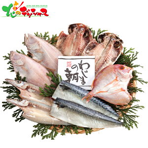 킶܂̒ Zbg 59 2025 Mtg 蕨  j  Ԃ j v[g  Ε Y CN  Ђ   Hו Zbg lߍ킹 ΂ O 