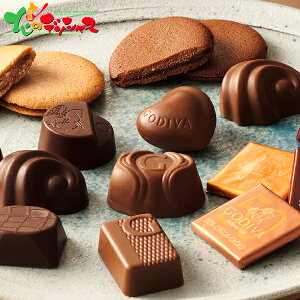 SfBo `R[gNbL[A\[gg 208039 2025 ~Mtg Ε Ε N N Mtg 蕨  j  Ԃ j v[g mَq ĉَq `R[g N