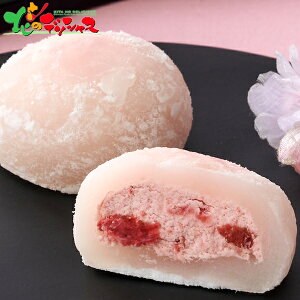 Vn ӂӂE䕃[X啟Zbg 2025 Mtg 蕨  j  Ԃ j v[g  Ε aَq 啟 䕑啟 XC[c Zbg lߍ킹 