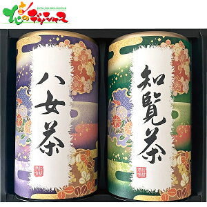 F Bl TKS-30 2025 Mtg 蕨  j  Ԃ j v[g  Ε   t { 񂿂   Zbg lߍ킹 ΂ 