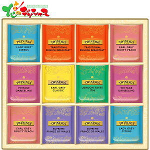 gCjO eB[obO MtgRNV TTG-30A 2025 Mtg 蕨  j  Ԃ j v[g  Ε g   t eB[^C Zbg lߍ킹 