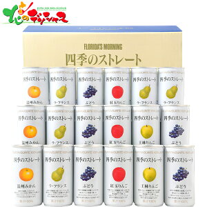 t_X[jO lG̃Xg[g YXg[gW[X ANX50V 2025 Mtg 蕨  j  Ԃ j v[g  Ε  t[c W[X t[c 