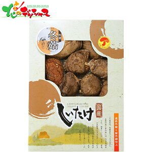 Y  ő ǂ (125g) OD-30 2025   o`  Mtg 蕨  j  Ԃ j v[g  Ε    ő ő Zbg l