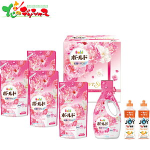 PG {[h t̐ MtgZbg PGCB-40E 2025 Mtg 蕨  j  Ԃ j v[g  Ε  ܃Mtg ܃Zbg  Hp { lߑւ Z