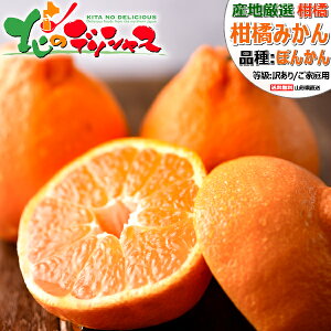 y\zYnI Y ƒp ۂ񂩂 10kg (󂠂/퉷) k k ݂ ~J  킯 󂠂 p ƒp p lC   ʕ t[c O R`