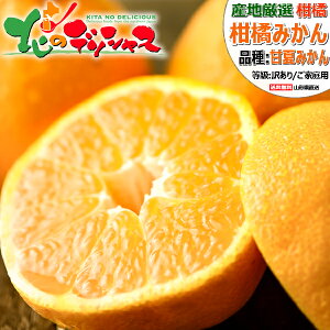 y\zYnI Y É 10kg (󂠂/퉷) k k ݂ ~J  ܂Ȃ A}ic ÉĂ݂ Éă~J 킯 󂠂 p ƒp p lC  