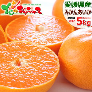 y\zYnI Y ݂  5kg (󂠂/M`4L/퉷) k k ݂ ~J  킯 󂠂 p ƒp p lC   ʕ t[c O R`