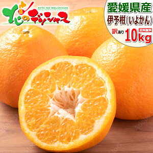 y\zQY ƒp ɗ\ (󂠂/퉷) k k ݂ ~J  悩 CJ ɗ\ 3kg 5kg 10kg 킯 󂠂 p ƒp p lC   