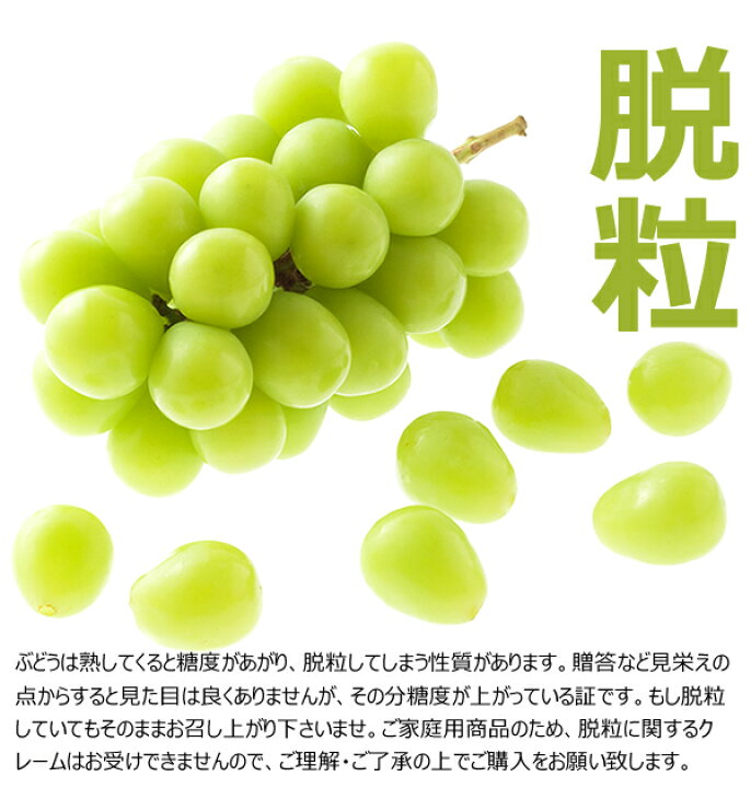 楽天市場】【予約】 山形県産 ご家庭用 ぶどう シャインマスカット (訳 