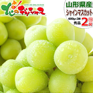 yoגzR`Y Ԃǂ VC}XJbg (Gi/①) { H̖o uhE  VC }XJbg 1[ 2[ ~Mtg Ε Mtg 蕨  j  Ԃ j v[