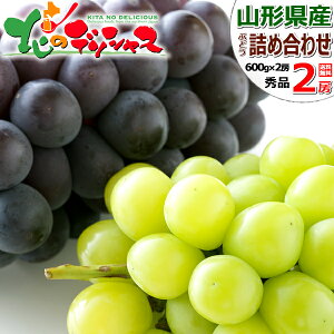 yoגzR`Y Ԃǂ VCsI[l 2[ (Gi/e600g×1[/①) { H~̖o uhE  VC }XJbg sI[l Mtg 蕨  v[g  Ԃ j 