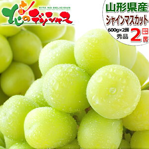 yoגzR`Y Ԃǂ VC}XJbg (Gi/①) { H̖o uhE  VC }XJbg 1[ 2[ ~Mtg Ε Mtg 蕨  j  Ԃ j v[