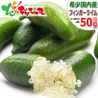 山形県産 冷凍フルーツ フィンガーライム 50g (4本〜6本入り/冷凍便) 国産 Finger Lime 森のキャビア フ…