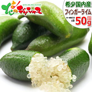 R`Y Ⓚt[c tBK[C 50g (4{`6{/Ⓚ) Y Finger Lime X̃LrA t[cLrA H v`v`H Mtg 蕨 j v[g ƒp ʕ t