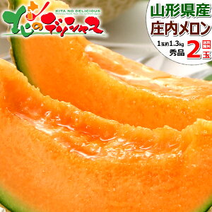 y\zR`Y u (Gi/orԓ/1ʖ1.3kg/퉷)   u  ԓ  1 2 ăMtg  Mtg 蕨 j  Ԃ 