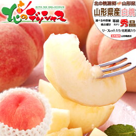 【出荷中】山形県産 白桃 (秀品/冷蔵便) 白桃 はくとう もも 桃 夏ギフト 残暑見舞い 敬老の日 ギフト 贈り物 贈答 お祝い お礼 お返し 内祝い プレゼント ご家庭用 果物 フルーツ 山形県 産地直送 送料無料 お取り寄せ