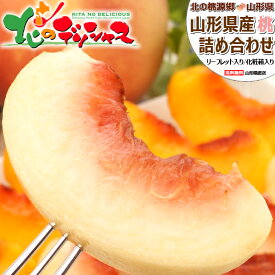 【出荷中】山形県産 白桃・黄桃 詰め合わせ (秀品/冷蔵便) 北の桃源郷 はくとう おうとう もも モモ 桃 白桃 黄桃 夏ギフト 残暑見舞い ギフト 贈り物 贈答 お祝い お礼 お返し プレゼント ご家庭用 果物 フルーツ 山形県 送料無料 お取り寄せ