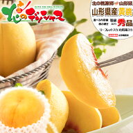 【終了間近】山形県産 黄桃 (有袋or無袋栽培/秀品/冷蔵便) 北の桃源郷 北限の桃 おうとう もも モモ 桃 …
