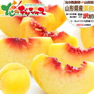 【終了間近】山形県産 ご家庭用 黄桃 (有袋or無袋栽培/冷蔵便) わけあり 訳あり 北の桃源郷 北限の桃 お…