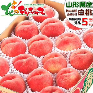 y\zJAV R`Y  5kg (I/Gi/12ʁ`18ʓ/①)  ͂Ƃ   ăMtg c hV̓ Mtg 蕨  j  Ԃ j v[g ƒp