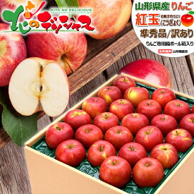 【予約】山形県産 ご家庭用 りんご 紅玉 (準秀品or訳あり/常温便) 冬の味覚 こうぎょく べにだま 林檎 リンゴ 青森県産 産地リレー 5kg 10kg わけあり 訳あり 自宅用 家庭用 おうち用 人気 売れ筋 果物 フルーツ 山形県 東根市 産地直送 送料無料 お取り寄せ