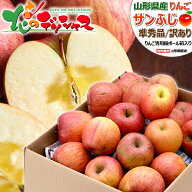 【出荷中】青森県産 ご家庭用 りんご サンふじ (準秀品/訳あり/常温便) 旬 秋の味覚 冬の味覚 ふじ リン…