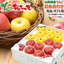 【出荷中】山形県産 りんご サンふじ＆シナノゴールド 詰め合わせ (秀品/ギフト用) 冬の味覚 冬の果実 リンゴ 2kg 3kg…