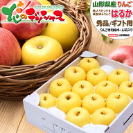 【予約】 山形県産 りんご はるか (秀品/常温便) 冬の味覚 蜜入り 蜜入りりんご 蜜入りリンゴ リンゴ 林…