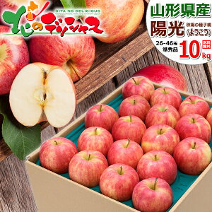 y\zR`Y ƒp  z (Gior󂠂/퉷) H̖o 悤 z  S ь 5kg 10kg 킯 󂠂 p ƒp p Hו lC  ʕ t