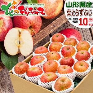 y\zR`Y  tƂ炸ӂ (Gi/Mtgp) ~̖o  ӂ S ь 2kg 3kg 5kg 10kg ~Mtg Ε Mtg 蕨   Ԃ j v[g ʕ t[c R