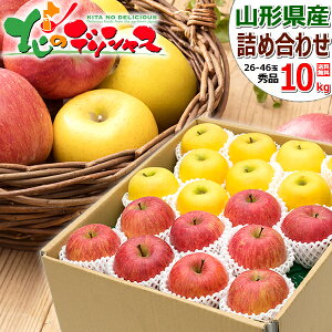 y\zR`Y  Tӂ&VimS[h lߍ킹 (Gi/Mtgp) ~̖o ~̉ʎ S 2kg 3kg 5kg 10kg ~Mtg Ε Mtg 蕨  j  j v[g 