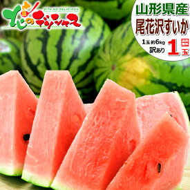 【予約】山形県産 ご家庭用 尾花沢すいか (訳あり/常温便)夏スイカ すいか スイカ 西瓜 尾花沢スイカ 自宅用 ご家庭用 おうち用 訳あり わけあり お得 お買い得 食べ放題 人気 おすすめ 果物 フルーツ 山形県 産地直送 送料無料 お取り寄せ