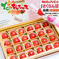 【出荷中】母の日 山形県産 さくらんぼ 佐藤錦 (加温ハウス栽培/秀品/24粒入り/化粧箱/常温便) 2026 母の…