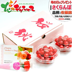 ★【予約】母の日 山形県産 さくらんぼ 佐藤錦 200g (加温ハウス栽培/秀品/100g×2p/化粧箱/常温便) 2027 初物 ギフト 贈り物 お祝い お礼 お返し 内祝い プレゼント 赤いカーネーション 母の日メッセージカード サクランボ 果物 フルーツ 産地直送 山形 お取り寄せ
