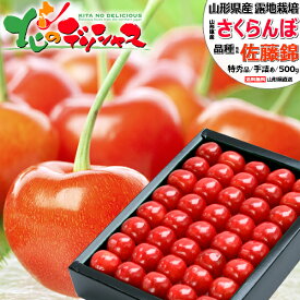 ★【予約】山形県産 さくらんぼ 佐藤錦 500g (露地/特秀品/選べるサイズ/手詰め/化粧箱入り/クール冷蔵便) 2027 旬 サクランボ 初夏 夏ギフト お中元 ギフト 贈り物 お祝い お礼 お返し 内祝い プレゼント ご家庭用 果物 フルーツ 山形県 東根市 お取り寄せ