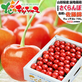 山形県産 さくらんぼ 佐藤錦 700g (秀品/選べるサイズ/手詰め/化粧箱入り/クール便) 旬 サクランボ Lサイズ 中玉 2Lサイズ 大玉 お中元 ギフト 贈り物 贈答 お祝い お礼 お返し プレゼント 果物 フルーツ 山形県 東根市 産地直送 送料無料 お取り寄せ