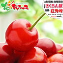 【出荷間近】山形県産 さくらんぼ 紅秀峰 700g (秀品/選べるサイズ/ばら詰め/350g×2p/化粧箱入り/冷蔵便) サクランボ…
