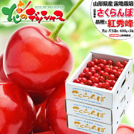 山形県産 さくらんぼ 紅秀峰 1.8kg (秀品/選べるサイズ/ばら詰め/600g×3箱/化粧箱入り/クール便) サクランボ Lサイズ 中玉 2Lサイズ 大玉 お中元 ギフト 贈り物 贈答 お祝い お礼 プレゼント 果物 フルーツ 山形県 産地直送 送料無料 お取り寄せ