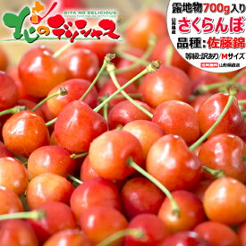 ★【予約】山形県産 ご家庭用 さくらんぼ 佐藤錦 700g (露地/訳あり/Mサイズ/ばら詰め/産地箱/クール冷蔵便) 2027 旬 サクランボ 初夏 ご家庭用 自宅用 おうち用 お得 お買い得 たっぷり 食べ放題 人気 果物 フルーツ 山形県 東根市 送料無料 お取り寄せ