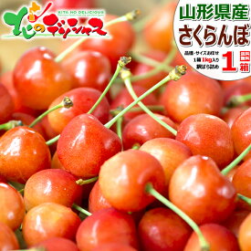 【終了間近】生産者応援！ 山形県産 ご家庭用 さくらんぼ 1kg (訳あり/品種・サイズお任せ/ばら詰め/産地箱/クール冷蔵便) 露地 サクランボ わけあり ご自宅用 ご家庭用 おうち用 お得 お買い得 人気 果物 フルーツ 山形県 東根市 産地直送 送料無料 お取り寄せ