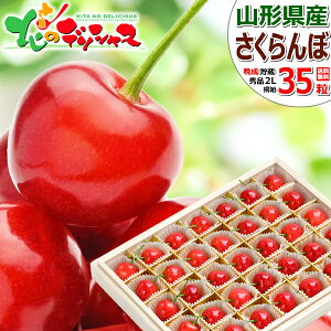 y\zR`Y Ӑ  (i/Gi/IׂTCY/135/˔/N[①) 2026 { Ӑ TN{  ăMtg  Mtg 蕨  j j v[