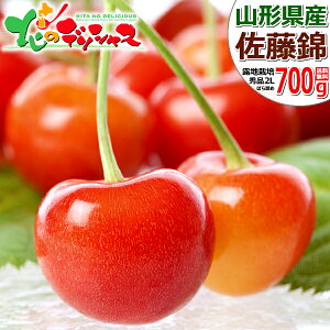 y\zR`Y   700g (In/Gi/IׂTCY/΂l/350g×2p/ϔ/N[①) 2026 { TN{  ăMtg  Mtg 蕨 j j v[
