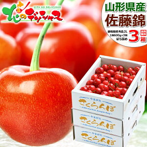 y\zR`Y   1.8kg (In/Gi/IׂTCY/΂l/600g×3/ϔ/N[①) 2026 { TN{  ăMtg  Mtg 蕨 j j v[
