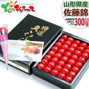 y\z̓ R`Y   300g (nEX͔|/Gi/l/ϔ/퉷) 2026 ̓Mtg Mtg 蕨 j v[g ԂJ[l[V ̓bZ[WJ