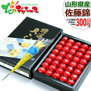 y\z̓ R`Y   300g (Gi/IׂTCY/l/ϔ/①) 2026 ̓Mtg Mtg 蕨 j v[g Fo ̓bZ[WJ[h TN